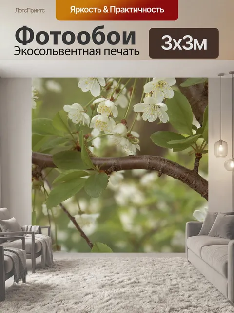 Фотообои Цветы