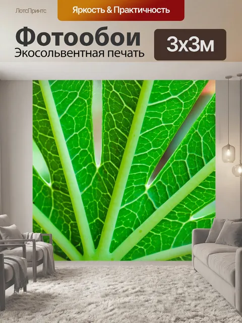 Фотообои Зеленый лист фон