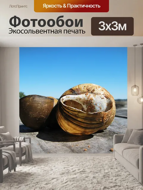 Фотообои Оболочка
