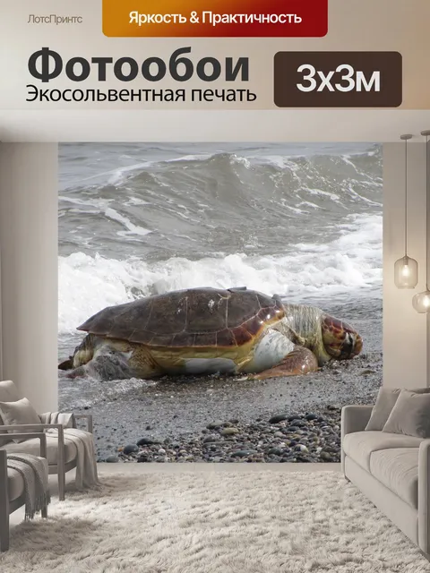 Фотообои Морская черепаха