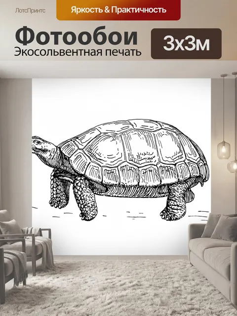 Фотообои Иллюстрация черепахи клип арт