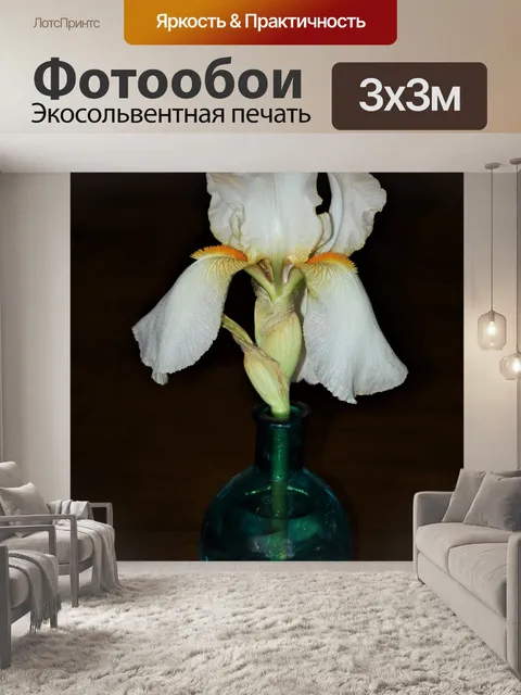 Фотообои Белая ириса в вазе на коричневом