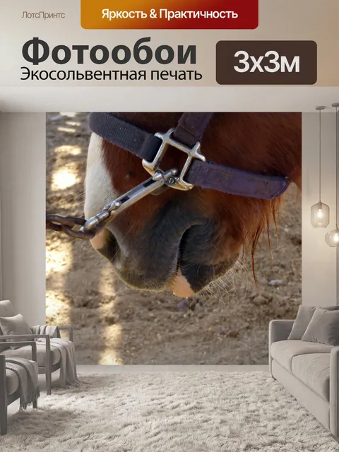 Фотообои Конская морда