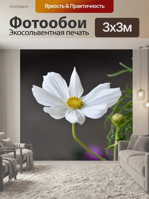 Фотообои Цветок