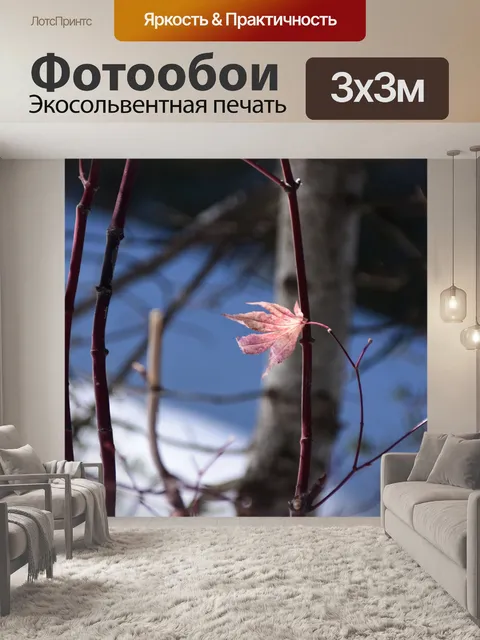 Фотообои осенний лист