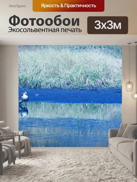 Фотообои египетские гуси на грани сковороды