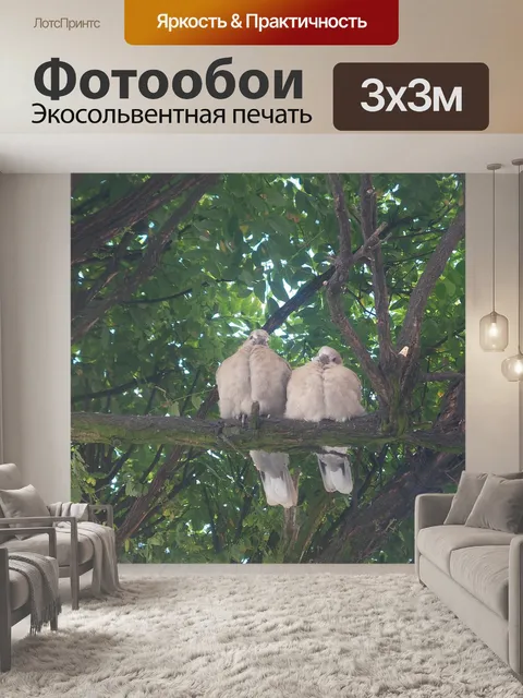 Фотообои Природа