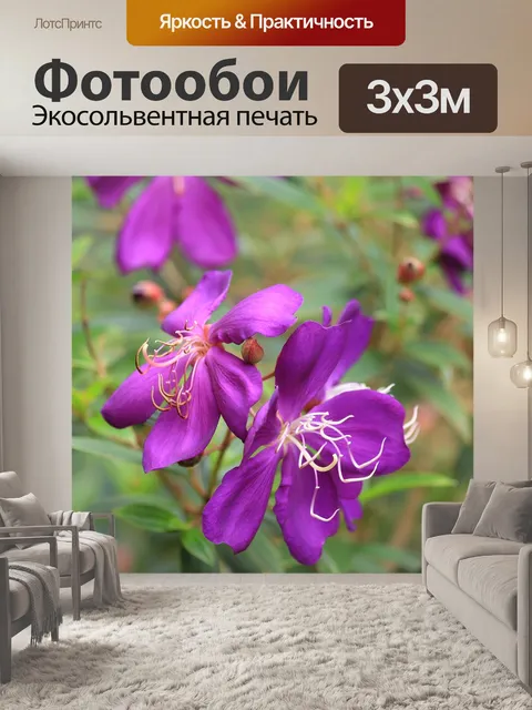 Фотообои Фиолетовый