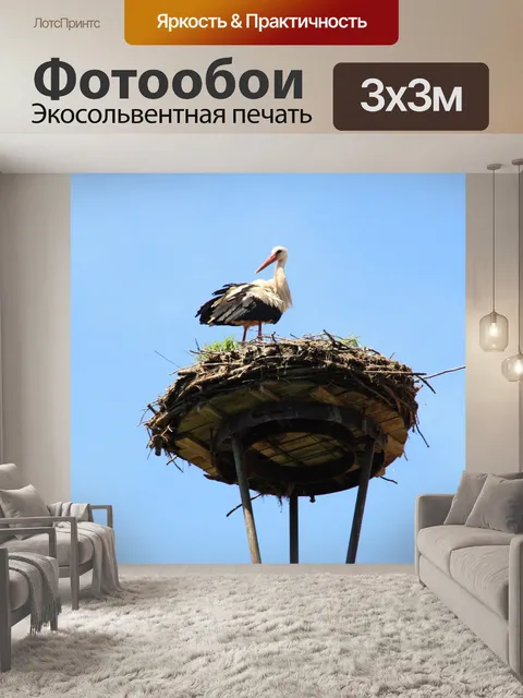 Фотообои Аист