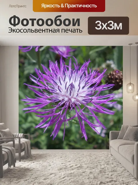 Фотообои Цветок
