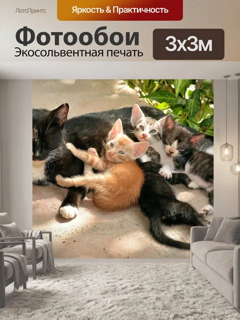 Фотообои Кошки