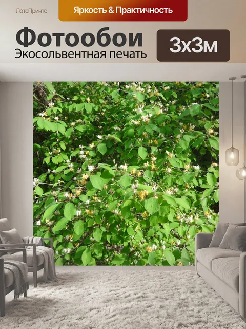 Фотообои Цветущий куст