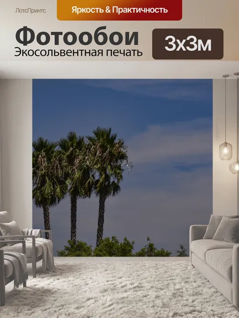 Фотообои Три пальмовых дерева