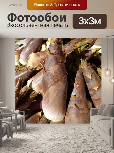 Фотообои Нк bamboo всход
