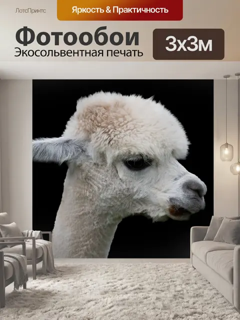 Фотообои Альпака