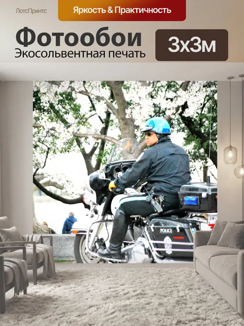 Фотообои Полицейский
