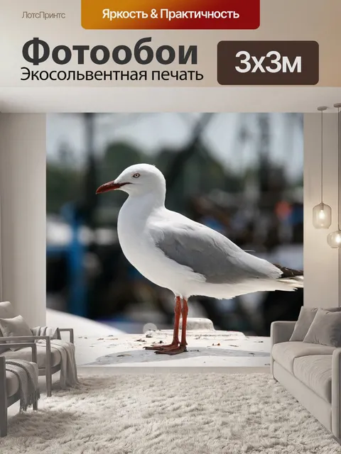 Фотообои Птица