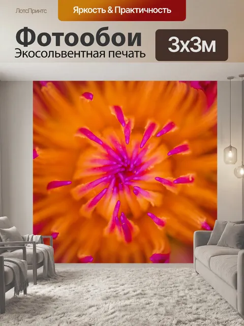 Фотообои Красивый цветок лотоса кувшинки