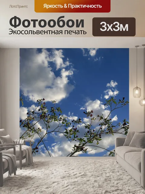 Фотообои веточки с листьями на фоне неба