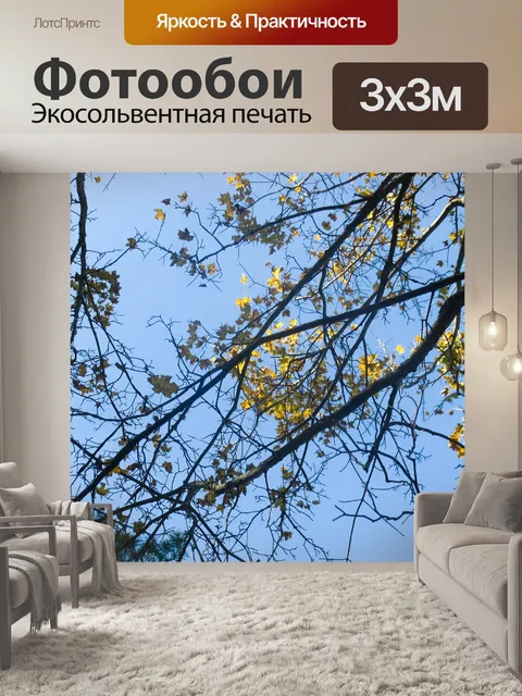 Фотообои Деревья
