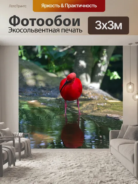 Фотообои Алый ибис