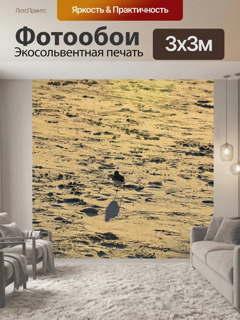 Фотообои Запуск песчанка