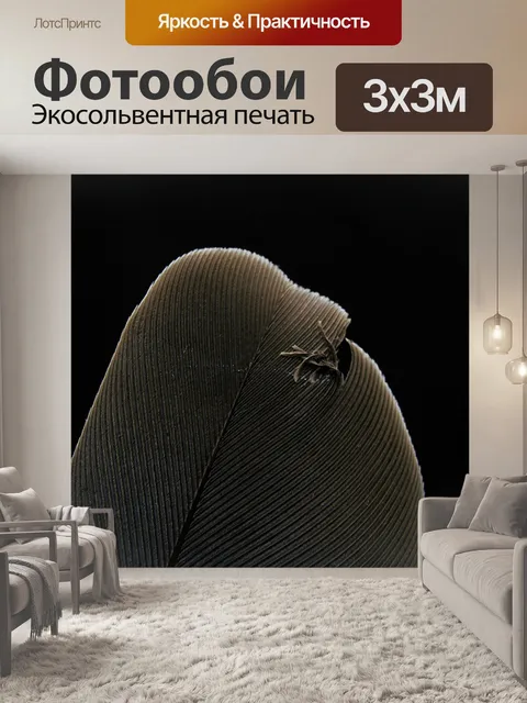 Фотообои Перо