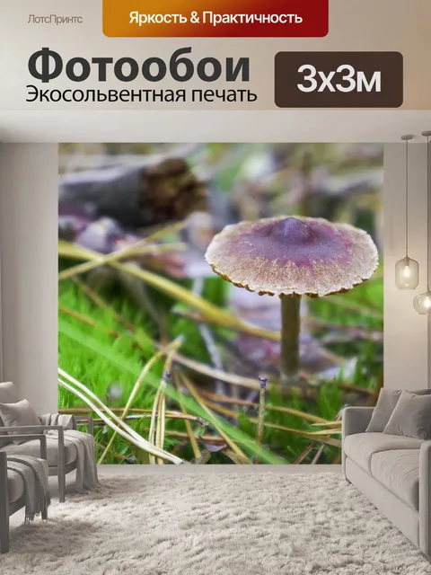 Фотообои Чешуйчатый