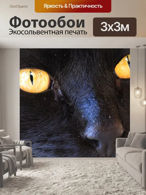 Фотообои Черный кот