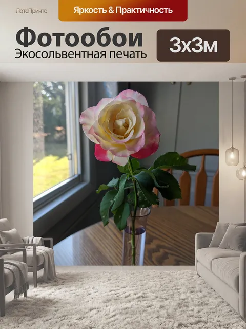 Фотообои Розовая роза
