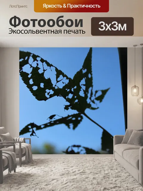 Фотообои Мертвые листья