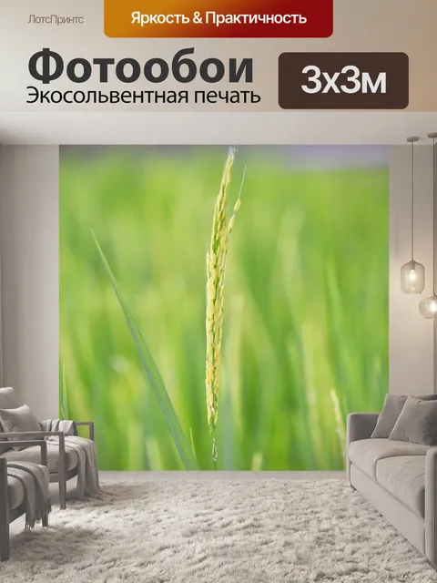 Фотообои Убуд