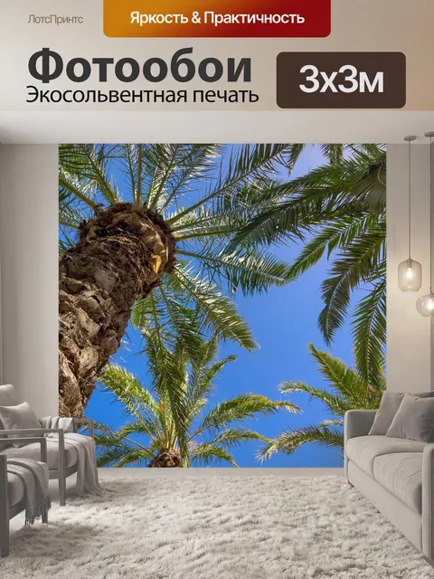Фотообои Пальмы и голубое небо
