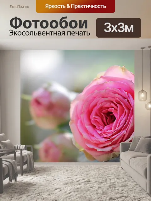 Фотообои Роза