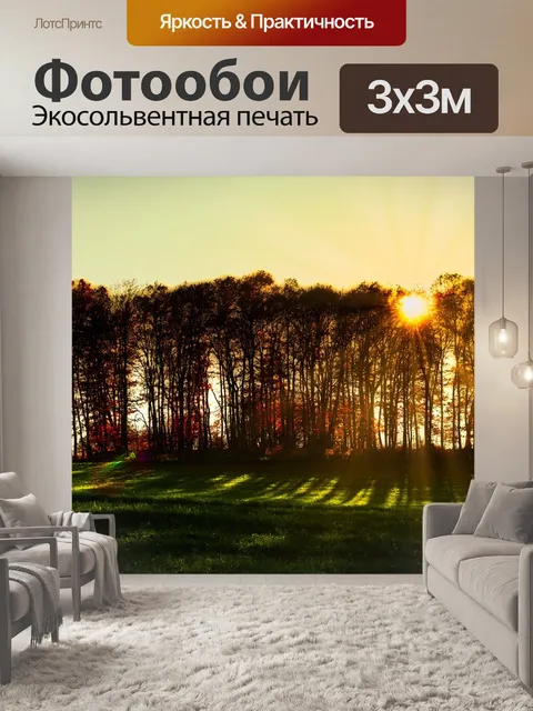 Фотообои Деревья