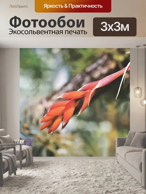 Фотообои Бромелию
