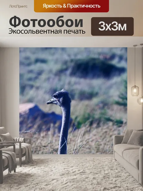 Фотообои голова и шея женского страуса