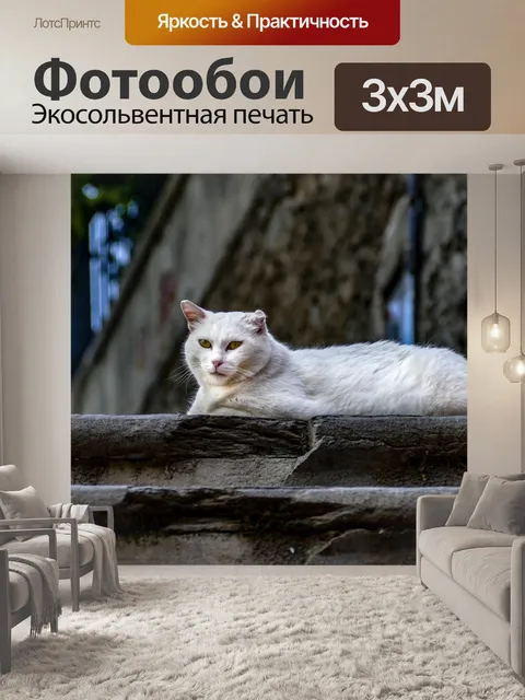 Фотообои Кошка