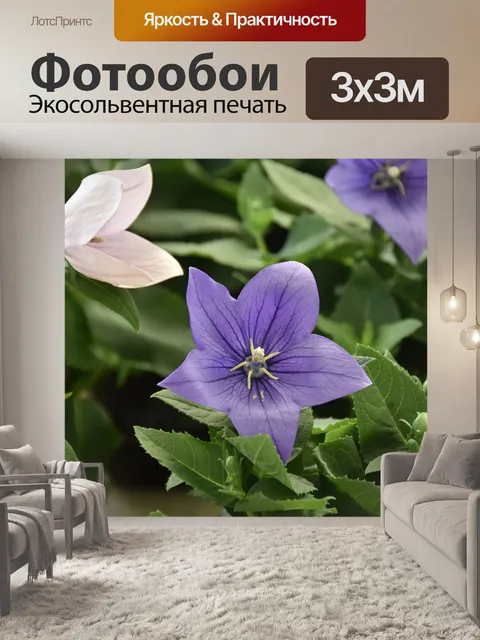 Фотообои Цветок