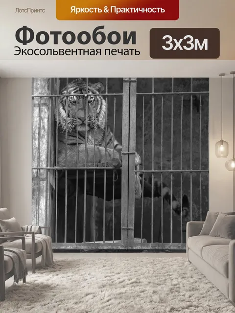 Фотообои Тигр