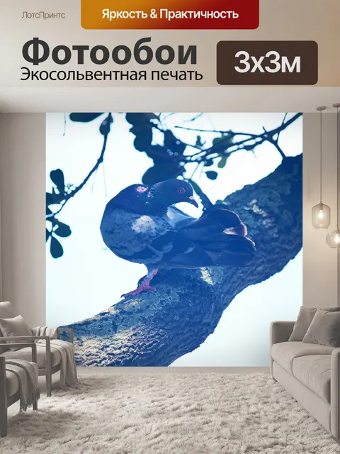 Фотообои голубь сидит на толстой ветке