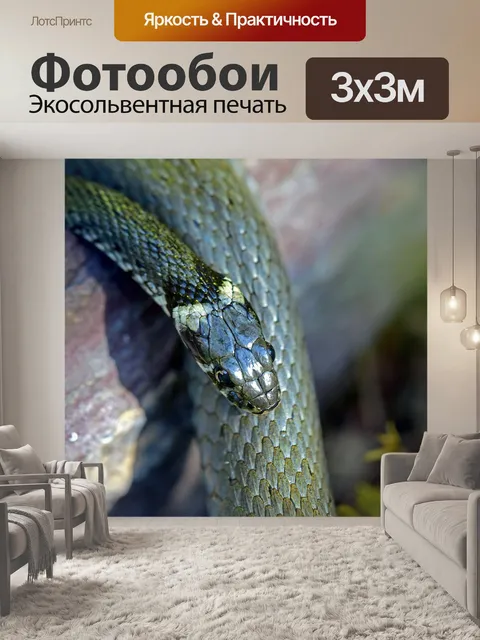 Фотообои Травяная змея