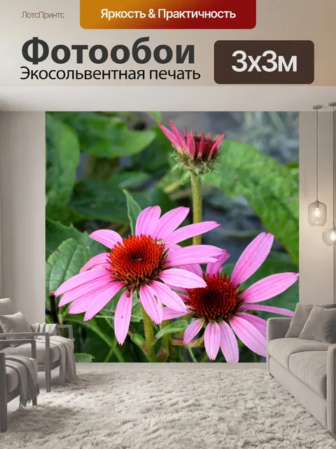 Фотообои Два розовых конуса и бутона