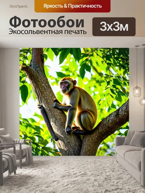 Фотообои обезьяна сидит на высоком дереве