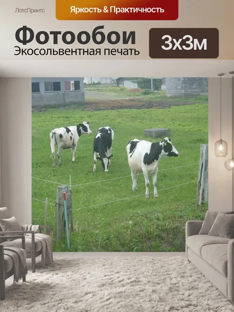 Фотообои Корова