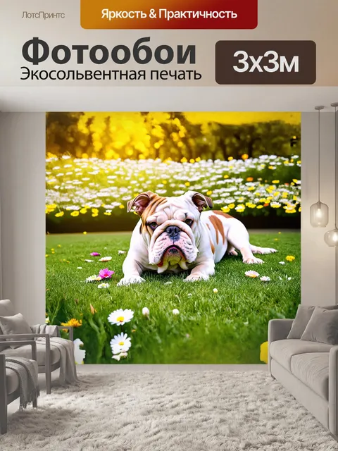 Фотообои английский бульдог, лежащий на траве в парке, с нежными цветами вокруг, создающими летнее настроение