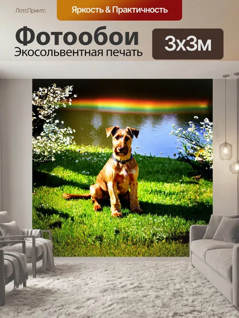 Фотообои ирландский терьер, спокойно сидящий на зелёной лужайке, окружённый цветущими дикими цветами