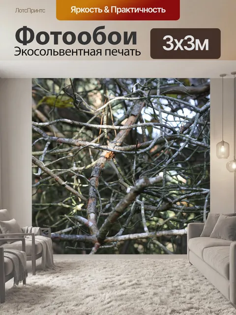 Фотообои филиалы