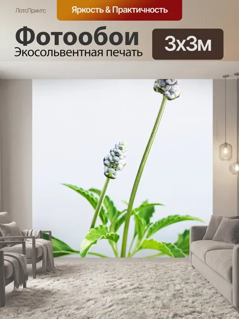 Фотообои Два