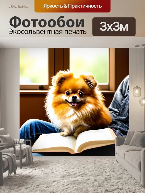 Фотообои померанский шпиц, уютно устроившийся на коленях хозяина во время чтения книги у окна